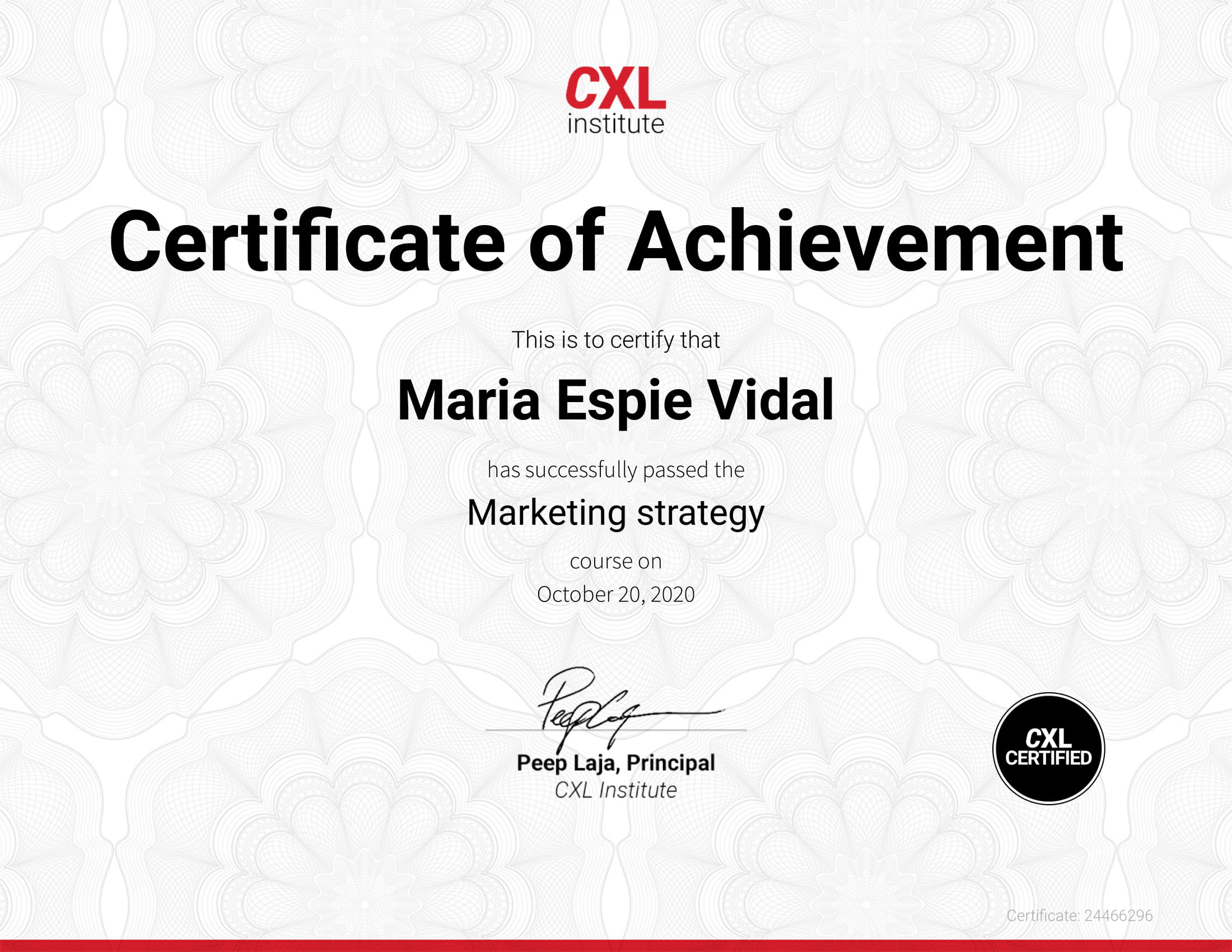 CXL certification for Marketing Strategy
